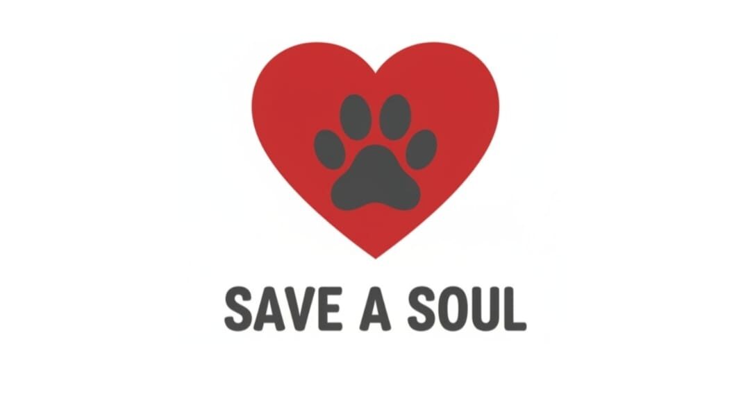 Save A Soul Rescue Dogs Save A Soul Rescue Dogs